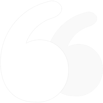 Web design trends that will dominate in the future.